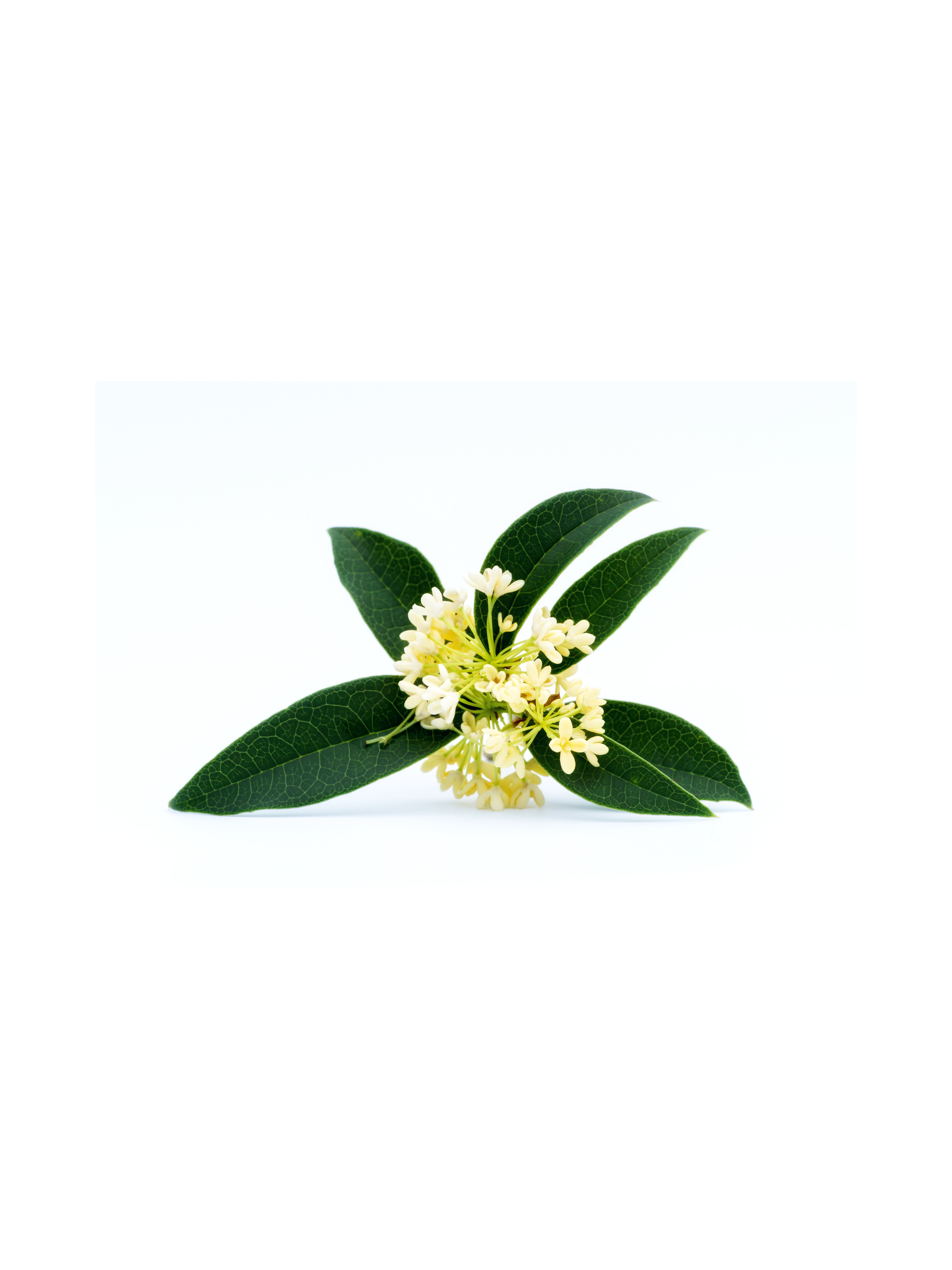 bunee Instagram2  (84).png__PID:b387b2ce-71f3-4393-86a6-3f3f942a98ba