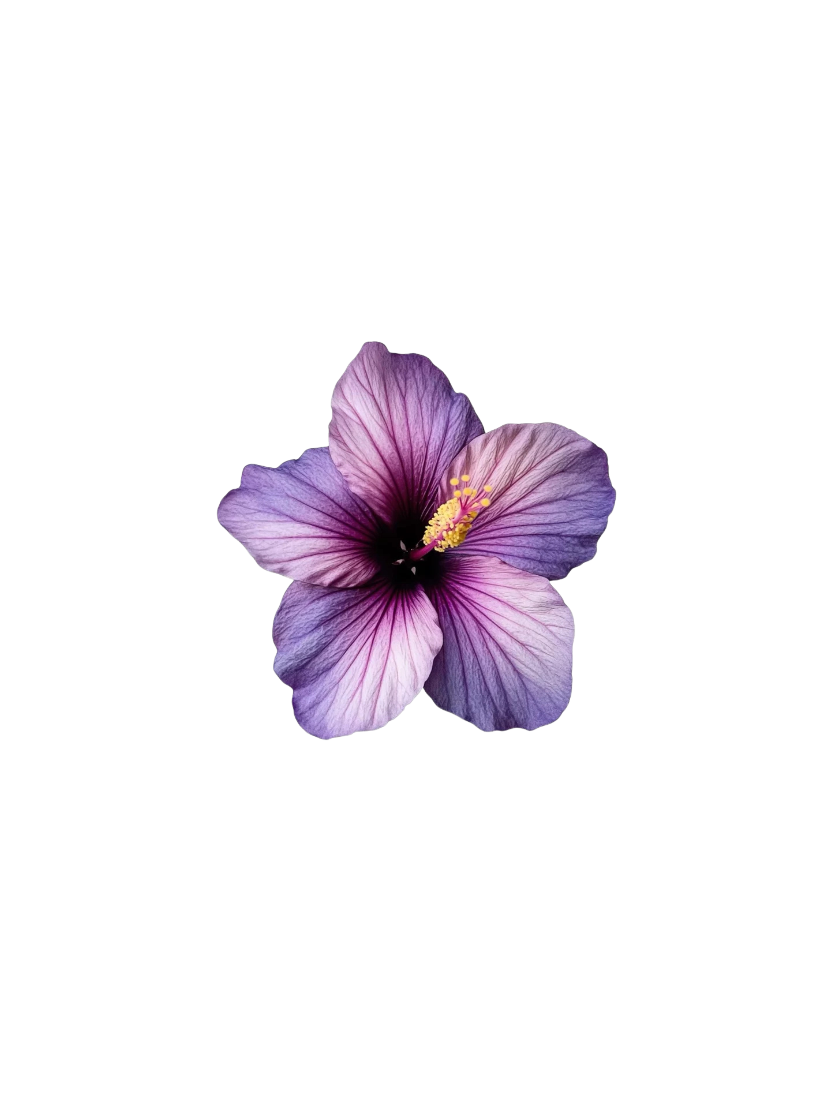 bunee Instagram2  (88).png__PID:a7f0e52c-7c62-44ab-8516-b374fd0519b5