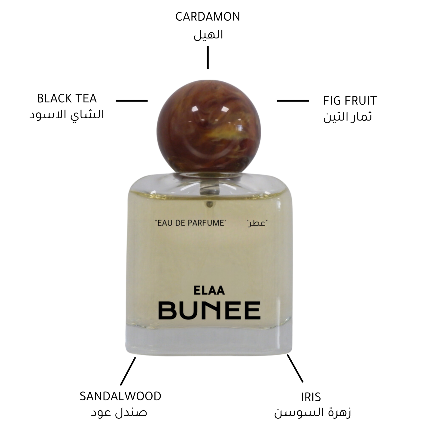 ELAA